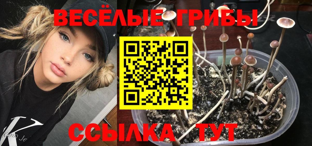 Псилоцибиновые грибы MAGIC MUSHROOMS  Вход с VPN  Горячий Ключ  Галлюциногенные грибы Psilocybine cubensis 