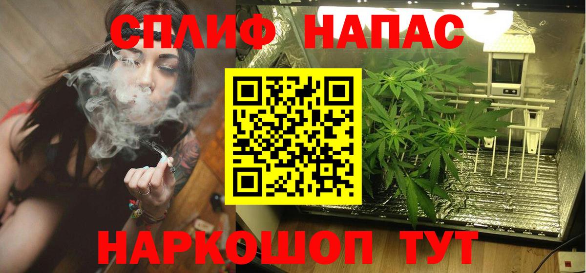МАРИХУАНА сатива  Бошки марихуана Ganja  Вход с VPN  Горячий Ключ  МАРИХУАНА OG Kush 